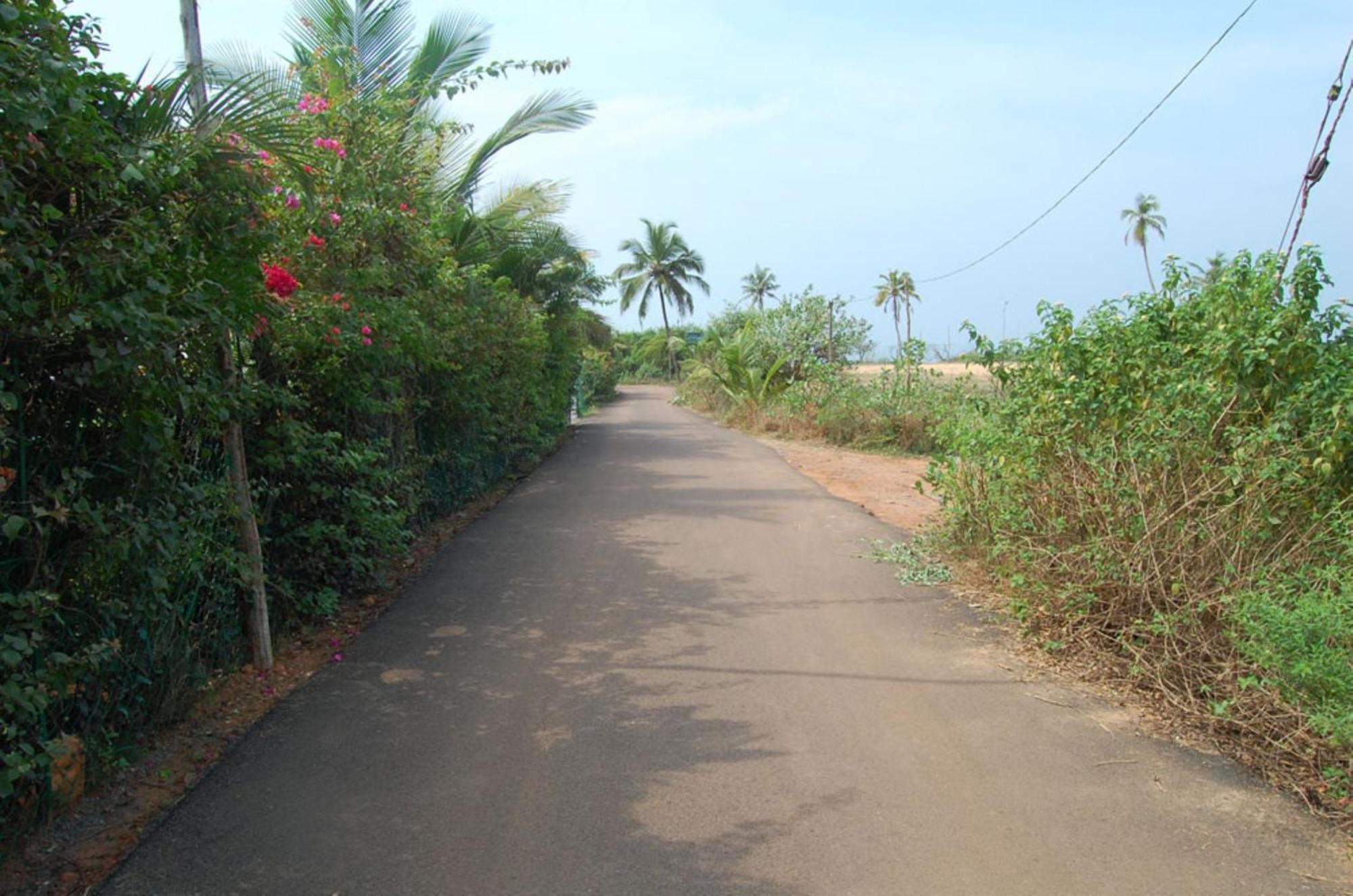 2 Bedroom Apartment In Resort On Candolim Beach Baga Eksteriør bilde